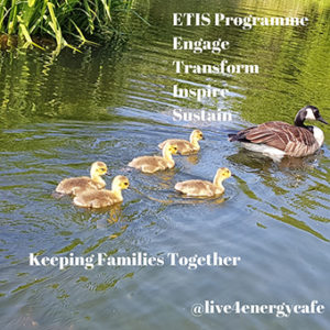 ETIS Programme 