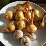 onions and garlic