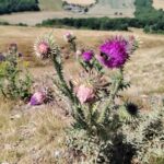 IMG_20250708_120025
