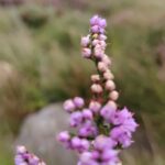 IMG_20250823_135408