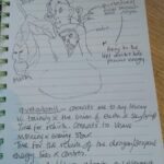 Julies Drawing